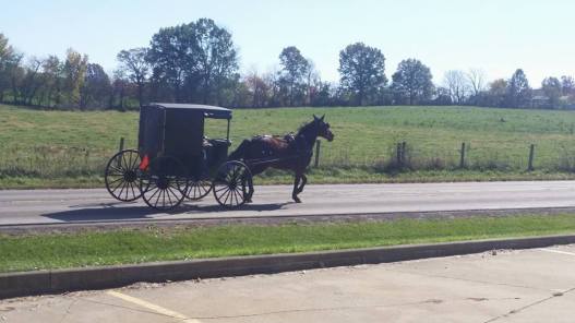 amish